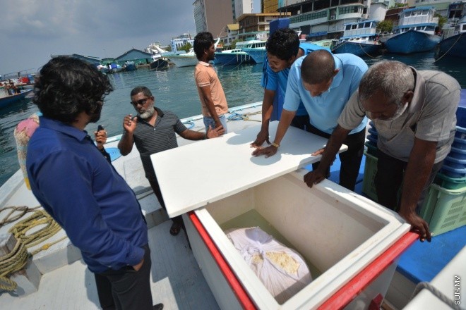 މަހަށް ނުކުމެ އުޅެނިކޮށް، މިދިޔަ އާދީއްތަ ދުވަހު ށ. ފޯކައިދޫ "މާކަރީ 7" ދޯނިން ހޮވި މާވަހަރު-- ސަން ފޮޓޯ/ ފަޔާޒު މޫސާ