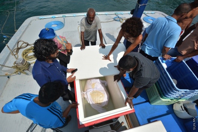 މަހަށް ނުކުމެ އުޅެނިކޮށް، މިދިޔަ އާދީއްތަ ދުވަހު 60 ކިލޯގެ މާވަހަރު ހޮވި ށ. ފޯކައިދޫ "މާކަރީ 7" ދޯނި-- ސަން ފޮޓޯ/ ފަޔާޒު މޫސާ
