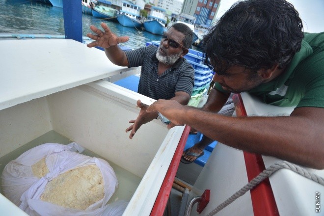 މަހަށް ނުކުމެ އުޅެނިކޮށް، މިދިޔަ އާދީއްތަ ދުވަހު ށ. ފޯކައިދޫ "މާކަރީ 7" ދޯނިން ހޮވި މާވަހަރާ ގުޅޭ ގޮތުން ދޯނީގެ ކައްޕި ވާހަކަ ދައްކަނީ- ސަން ފޮޓޯ/ ފަޔާޒު މޫސާ