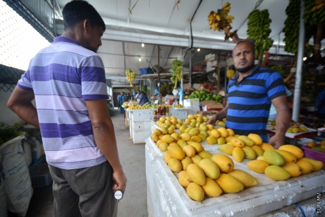 އަނބު މޫސުން ކައިރިވުމާ އެކު މާލޭގެ ބާޒާރުގައި އަނބު ތިޔާގިވުން -- ސަން ފޮޓޯ/ ފަޔާޒު މޫސާ