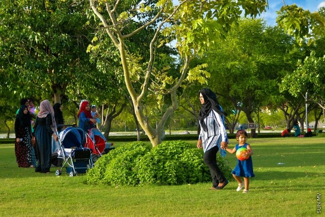 ޒުވާނުންނާއި އާއިލާތަކަށް ހާއްސަކޮށްގެން ޒަމާނީގޮތަކަށް ހަދައި މިމަހު 22 ވަނަ ދުވަހު ހުޅުމާލެގައި ހޮޅުވި ހުޅުމާލެ ސެންޓްރަލް ޕާކް.
 މި ޕާކަކީ ވަރަށް ހިތްގައިމު ފެހި ޕާކެކެވެ. ބްރިޖަކާއި ފެން ގަނޑެއްގެ އިތުރުން މީހުން އިށީނދެ ތިބެވޭގޮތަށް ގޮނޑިތައް ބަހައްޓާފައިވެއެވެ.--- ސަން ފޮޓޯ: މުހަންމަދު އަފްރާހް
