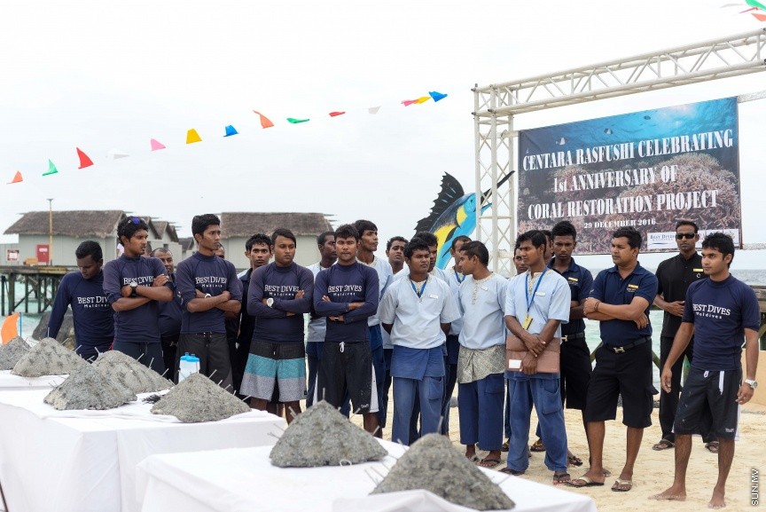 ސެންތާރާ ރަސް ފުށި ރިސޯޓުން ކުރިއަށްގެންދާ މުރަކަ އިންދުމުގެ ޕްރޮގްރާމްގެ ތެރެއިން : އެ ހަރަކާތުގައި ރިސޯޓުގެ މުވައްޒަފުންނާއި ފަތުރުވެރިން ބައިވެރިވެފައި ވެ --- ސަން ފޮޓޯ/ މުހައްމައު އަފްރާހް
