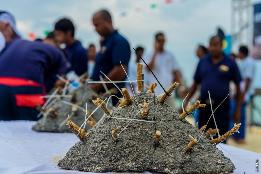 ސެންތާރާ ރަސް ފުށި ރިސޯޓުން ކުރިއަށްގެންދާ މުރަކަ އިންދުމުގެ ޕްރޮގްރާމްގެ ތެރެއިން : އެ ހަރަކާތުގައި ރިސޯޓުގެ މުވައްޒަފުންނާއި ފަތުރުވެރިން ބައިވެރިވެފައި ވެ --- ސަން ފޮޓޯ/ މުހައްމައު އަފްރާހް
