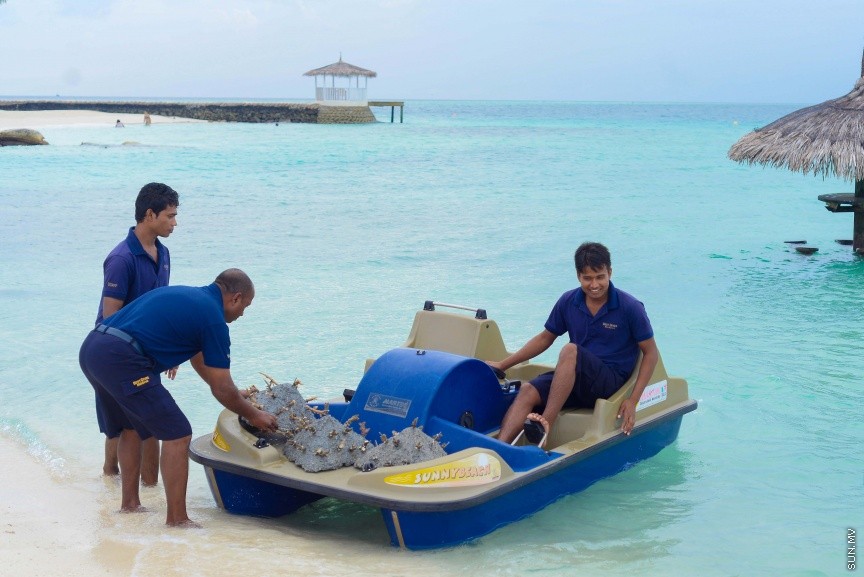 ސެންތާރާ ރަސް ފުށި ރިސޯޓުން ކުރިއަށްގެންދާ މުރަކަ އިންދުމުގެ ޕްރޮގްރާމްގެ ތެރެއިން : އެ ހަރަކާތުގައި ރިސޯޓުގެ މުވައްޒަފުންނާއި ފަތުރުވެރިން ބައިވެރިވެފައި ވެ --- ސަން ފޮޓޯ/ މުހައްމައު އަފްރާހް
