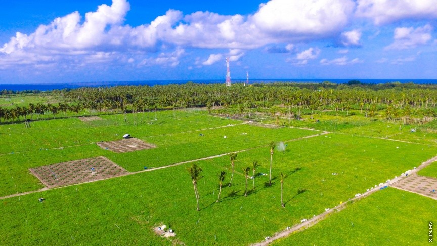 ފެހިކަން ގަދަ ތޮއްޑޫގެ ކަރާދަނޑުތައް: ރަމަޟާން މަހުގެ ކޮންމެ ދުވަހަކު ތޮއްޑޫއިން 20 ޓަނުގެ ކަރާ ބޭރުކުރޭ--- ސަން ފޮޓޯ/ އަހުމަދު ޝަރުވާން

