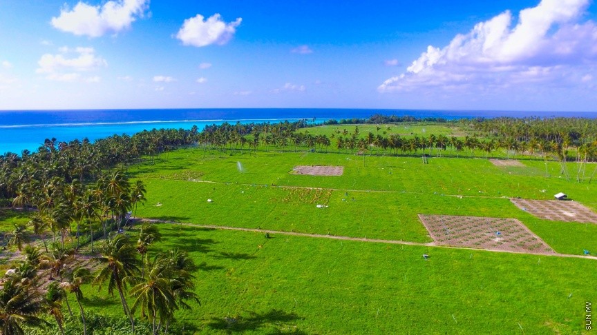 ފެހިކަން ގަދަ ތޮއްޑޫގެ ކަރާދަނޑުތައް: ރަމަޟާން މަހުގެ ކޮންމެ ދުވަހަކު ތޮއްޑޫއިން 20 ޓަނުގެ ކަރާ ބޭރުކުރޭ--- ސަން ފޮޓޯ/ އަހުމަދު ޝަރުވާން

