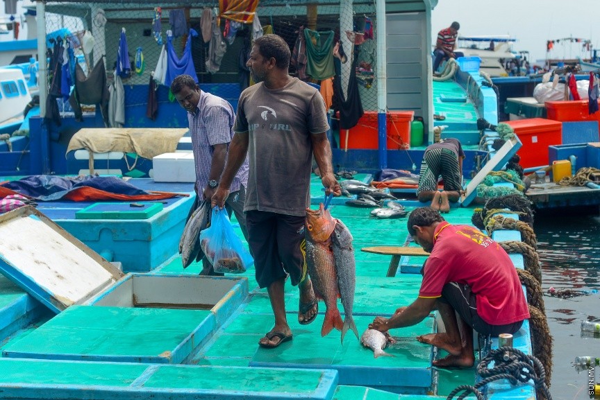 މާލޭ ބަނދަރުގައި އޮތް ދޯޏަކުން ފަރުމަސްތަކެއް މަސްމާރުކޭޓް ބާލަނީ: ރޯދަ މަހުގެ ފުރަތަމަ 10 ދުވަސް ފާއިތުވެ ދިޔައިރުވެސް ބާޒާރުގައި ތަކެތީގެ އަގު އަދިވެސް ބޮޑު --- ސަން ފޮޓޯ/ މުހައްމަދު އަފްރާހް  