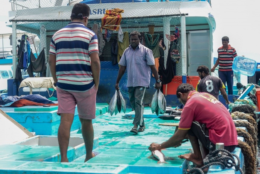 މާލޭ ބަނދަރުގައި އޮތް ދޯޏަކުން ބޭލި ފަރުމަސްތަކެއް ހިފައިގެން މަސްވެރިއަކު: ރޯދަ މަހުގެ ފުރަތަމަ 10 ދުވަސް ފާއިތުވެ ދިޔައިރުވެސް ބާޒާރުގައި ތަކެތީގެ އަގު އަދިވެސް ބޮޑު --- ސަން ފޮޓޯ/ މުހައްމަދު އަފްރާހް