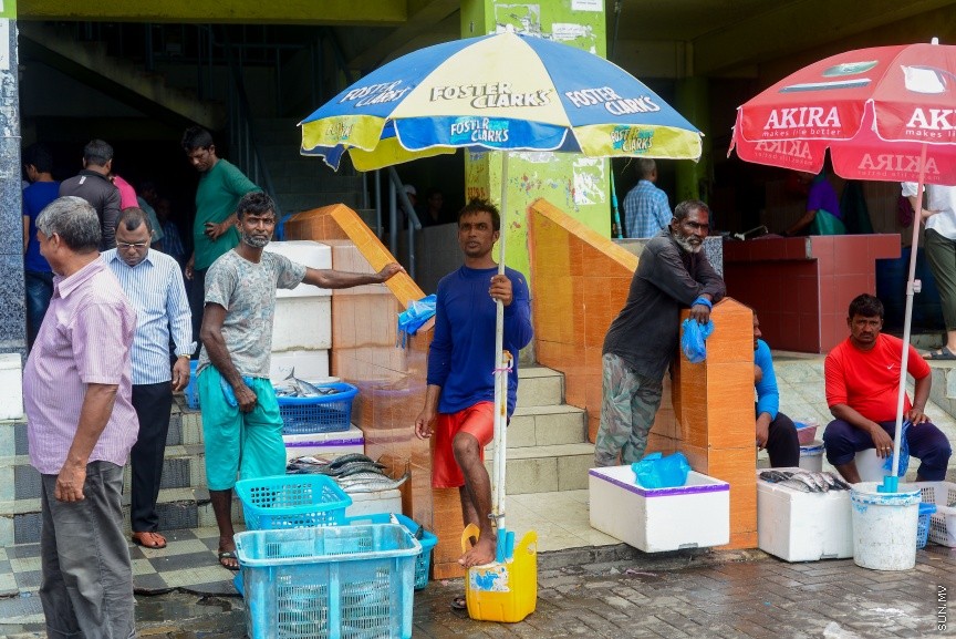 މާލެ މަސްމާރުކޭޓު ބޭރުގައި މަސްވެރިންތަކެއް މަސް ވިއްކުމުގައި:  ރޯދަ މަހުގެ ފުރަތަމަ 10 ދުވަސް ފާއިތުވެ ދިޔައިރުވެސް ބާޒާރުގައި ތަކެތީގެ އަގު އަދިވެސް ބޮޑު ---
ސަން ފޮޓޯ/ މުހައްމަދު އަފްރާހް
