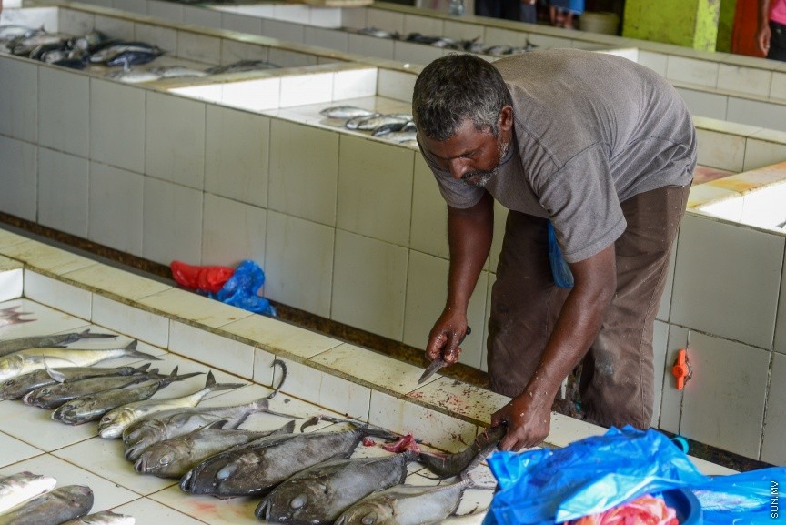 މާލޭ މަސްމާރުކޭޓު ތެރެއިން: ރޯދަ މަހުގެ ފުރަތަމަ 10 ދުވަސް ފާއިތުވެ ދިޔައިރުވެސް ބާޒާރުގައި ތަކެތީގެ އަގު އަދިވެސް ބޮޑު --- ސަން ފޮޓޯ/ މުހައްމަދު އަފްރާހް