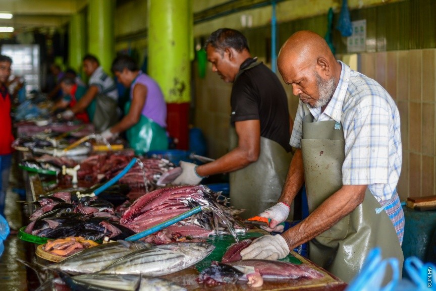 މާލެ މަސްމާރުކޭޓުގައި މަސްކަނޑަނީ: ރޯދަ މަހުގެ ފުރަތަމަ 10 ދުވަސް ފާއިތުވެ ދިޔައިރުވެސް ބާޒާރުގައި ތަކެތީގެ އަގު އަދިވެސް ބޮޑު ---ސަން ފޮޓޯ/ މުހައްމަދު އަފްރާހް
