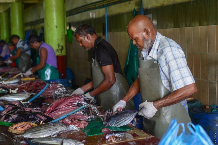 މާލެ މަސްމާރުކޭޓުގައި މަސްކަނޑަނީ: ރޯދަ މަހުގެ ފުރަތަމަ 10 ދުވަސް ފާއިތުވެ ދިޔައިރުވެސް ބާޒާރުގައި ތަކެތީގެ އަގު އަދިވެސް ބޮޑު ---ސަން ފޮޓޯ/ މުހައްމަދު އަފްރާހް