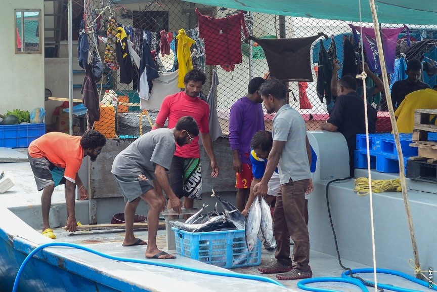 މާލޭ ފަޅުގައި އޮތް ދޯންޏަކުން މަސްތަކެއް ބާލައިގެން ގެންދަނީ: ރޯދަ މަހުގެ ފުރަތަމަ 10 ދުވަސް ފާއިތުވެ ދިޔައިރުވެސް ބާޒާރުގައި ތަކެތީގެ އަގު އަދިވެސް ބޮޑު --- ސަން ފޮޓޯ/ މުހައްމަދު އަފްރާހް
