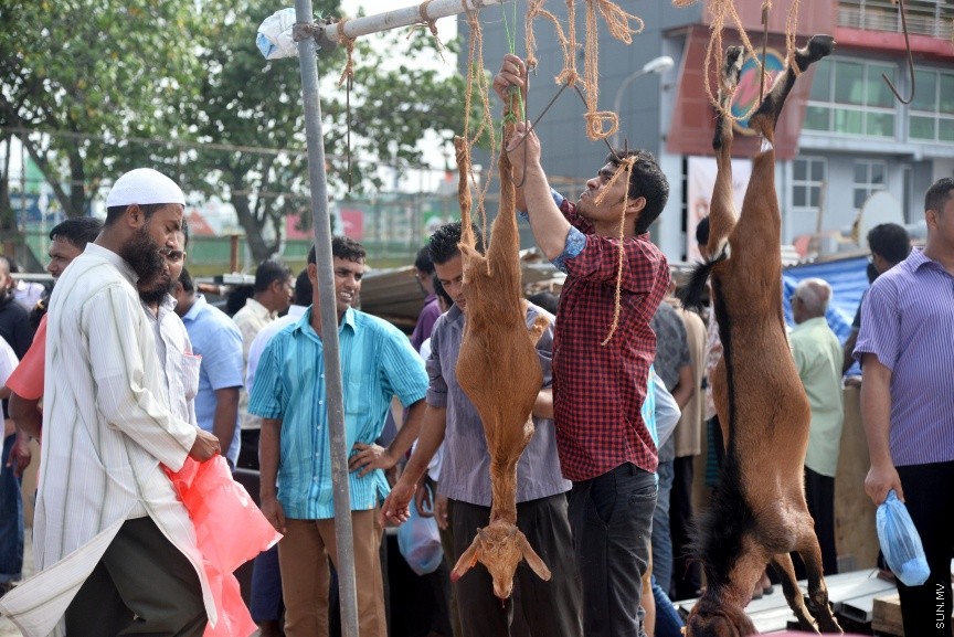 އަޟްޙާ ޢީދު 1438: މާލޭ ސިނާއީ ސަރަހައްދުގައި އުޟްޙިޔާ ކަތިލުން ކުރިއަށް ދަނީ -- ސަން ފޮޓޯ: ފަޔާޒް މޫސާ