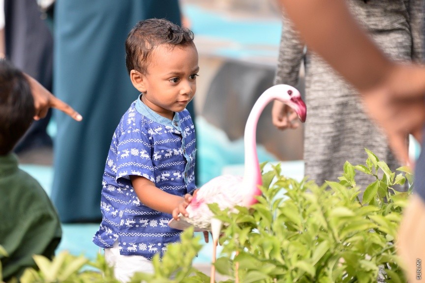 ސެޕްޓެމްބާރ 1، 2017: ކުޑަކުދިންގެ ބަގީޗާ، ތަފާތު ފުރިހަމަކަމަކާއެކު ހުޅުވަން -- ސަން ފޮޓޯ/ ފަޔާޒު މޫސާ