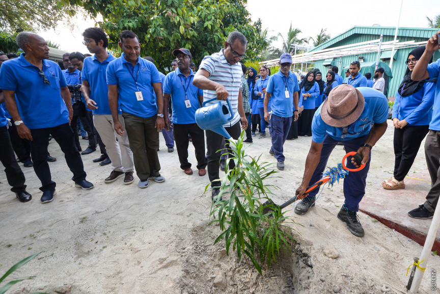 ފެބްރުއަރީ 15، 2020: "ސްޓެލްކޯ ރަށްފެހި" ޕްރޮގްރާމްގެ ދަށުން ތިލަފުށީގައި 3000 ގަސް އިންދުމަށް ބޭއްވި ހަފްލާގެ ތެރެއިން --- ސަން ފޮޓޯ/ ފަޔާޒު މޫސާ