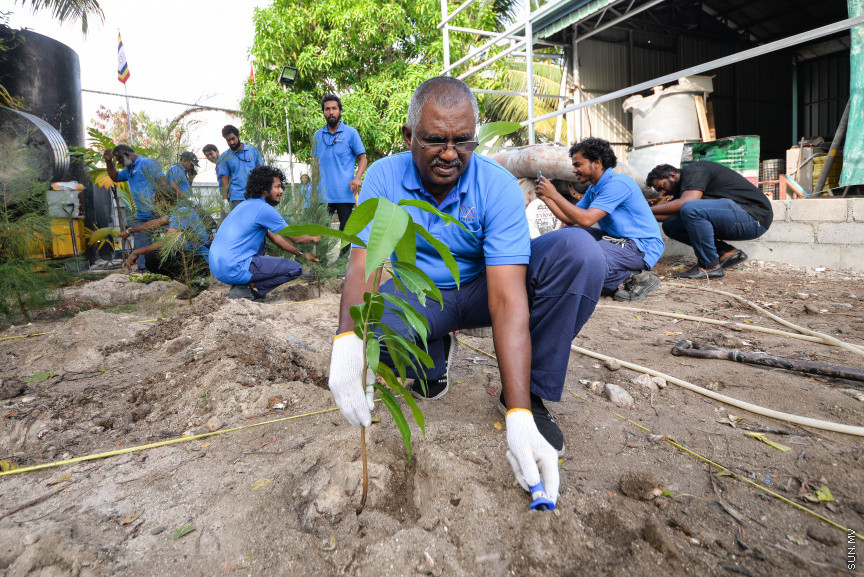 ފެބްރުއަރީ 15، 2020: "ސްޓެލްކޯ ރަށްފެހި" ޕްރޮގްރާމްގެ ދަށުން ތިލަފުށީގައި 3000 ގަސް އިންދުމަށް ބޭއްވި ހަފްލާގެ ތެރެއިން --- ސަން ފޮޓޯ/ ފަޔާޒު މޫސާ