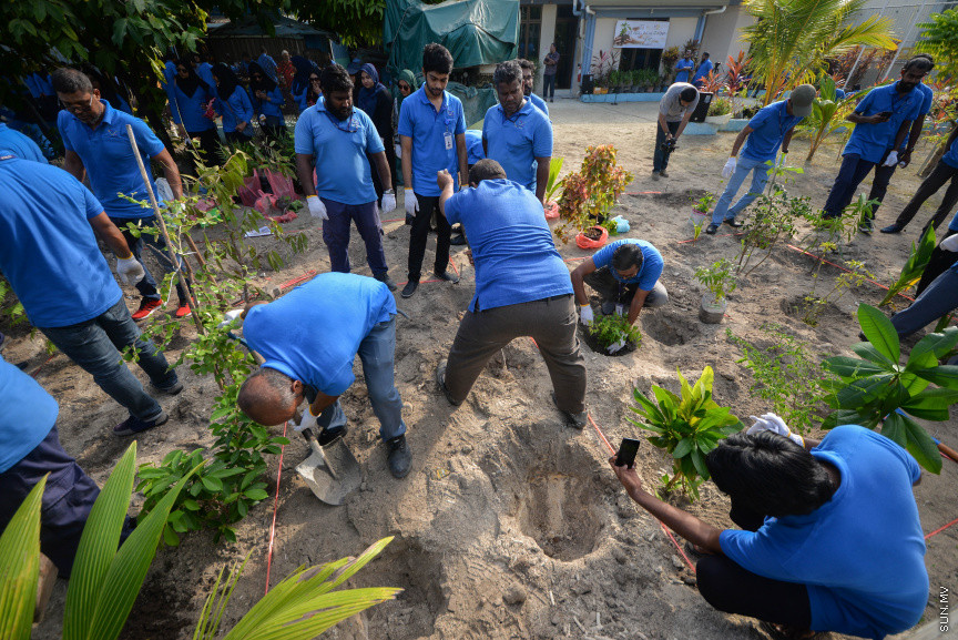 ފެބްރުއަރީ 15، 2020: "ސްޓެލްކޯ ރަށްފެހި" ޕްރޮގްރާމްގެ ދަށުން ތިލަފުށީގައި 3000 ގަސް އިންދުމަށް ބޭއްވި ހަފްލާގެ ތެރެއިން --- ސަން ފޮޓޯ/ ފަޔާޒު މޫސާ