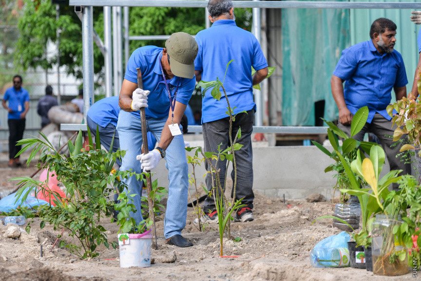 ފެބްރުއަރީ 15، 2020: "ސްޓެލްކޯ ރަށްފެހި" ޕްރޮގްރާމްގެ ދަށުން ތިލަފުށީގައި 3000 ގަސް އިންދުމަށް ބޭއްވި ހަފްލާގެ ތެރެއިން --- ސަން ފޮޓޯ/ ފަޔާޒު މޫސާ