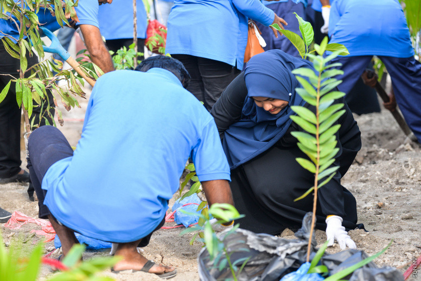 ފެބްރުއަރީ 15، 2020: "ސްޓެލްކޯ ރަށްފެހި" ޕްރޮގްރާމްގެ ދަށުން ތިލަފުށީގައި 3000 ގަސް އިންދުމަށް ބޭއްވި ހަފްލާގެ ތެރެއިން --- ސަން ފޮޓޯ/ ފަޔާޒު މޫސާ
