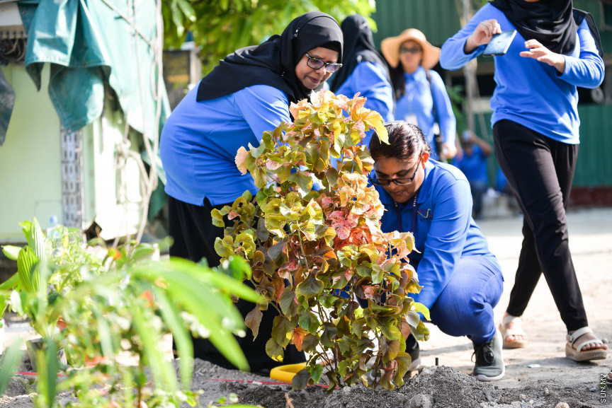 ފެބްރުއަރީ 15، 2020: "ސްޓެލްކޯ ރަށްފެހި" ޕްރޮގްރާމްގެ ދަށުން ތިލަފުށީގައި 3000 ގަސް އިންދުމަށް ބޭއްވި ހަފްލާގެ ތެރެއިން --- ސަން ފޮޓޯ/ ފަޔާޒު މޫސާ