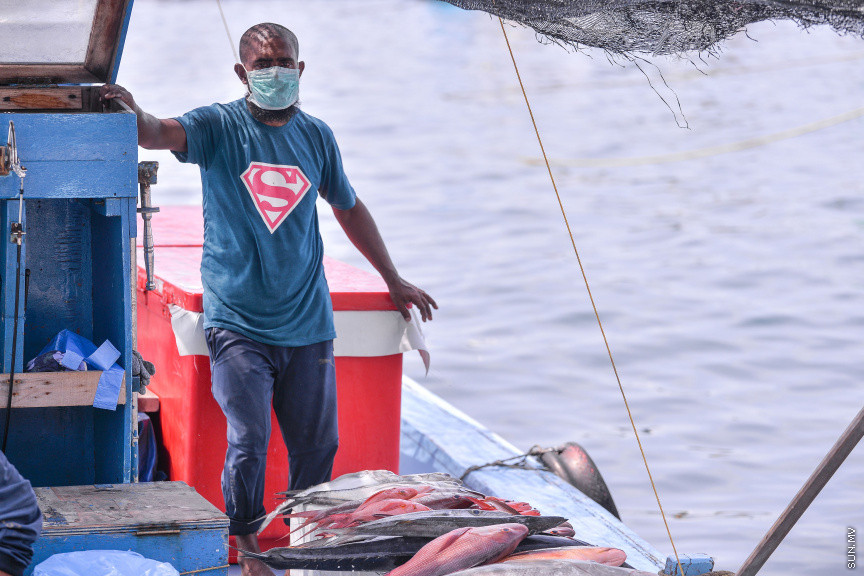 މެއި 14، 2020: ކޮވިޑް-19 ފެތުރޭތީ، ވެރިރަށް މާލެ ފުރަބަންދުގައި އޮތް އިރު މަސްވެރިން މަސްބާނައިގެން އައިސް މާރުކޭޓް ސަރަހައްދުގައި ދޯނުތަކުގައި ތިބެގެން މަސް ވިއްކުމުގެ މަސައްކަތުގައި -- ސަން ފޮޓޯ/ ފަޔާޒު މޫސާ