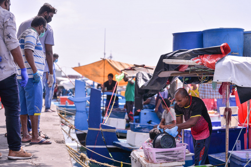 މެއި 14، 2020: ކޮވިޑް-19 ފެތުރޭތީ، ވެރިރަށް މާލެ ފުރަބަންދުގައި އޮތް އިރު މަސްވެރިން މަސްބާނައިގެން އައިސް މާރުކޭޓް ސަރަހައްދުގައި ދޯނުތަކުގައި ތިބެގެން މަސް ވިއްކުމުގެ މަސައްކަތުގައި -- ސަން ފޮޓޯ/ ފަޔާޒު މޫސާ