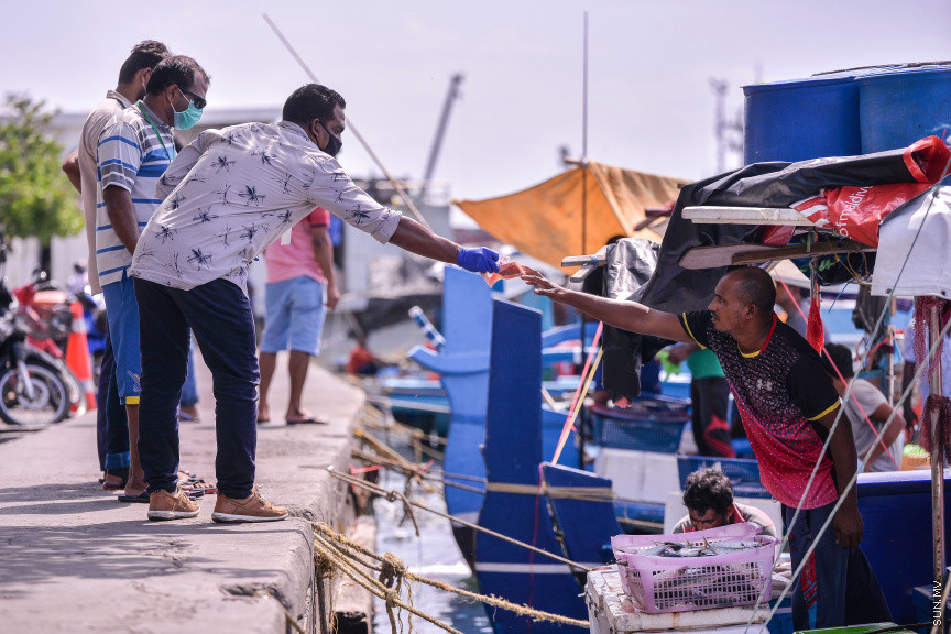 މެއި 14، 2020: ކޮވިޑް-19 ފެތުރޭތީ، ވެރިރަށް މާލެ ފުރަބަންދުގައި އޮތް އިރު މަސްވެރިން މަސްބާނައިގެން އައިސް މާރުކޭޓް ސަރަހައްދުގައި ދޯނުތަކުގައި ތިބެގެން މަސް ވިއްކުމުގެ މަސައްކަތުގައި -- ސަން ފޮޓޯ/ ފަޔާޒު މޫސާ