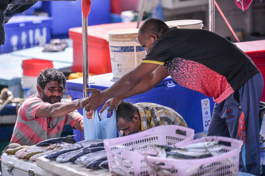 މެއި 14، 2020: ކޮވިޑް-19 ފެތުރޭތީ، ވެރިރަށް މާލެ ފުރަބަންދުގައި އޮތް އިރު މަސްވެރިން މަސްބާނައިގެން އައިސް މާރުކޭޓް ސަރަހައްދުގައި ދޯނުތަކުގައި ތިބެގެން މަސް ވިއްކުމުގެ މަސައްކަތުގައި -- ސަން ފޮޓޯ/ ފަޔާޒު މޫސާ
