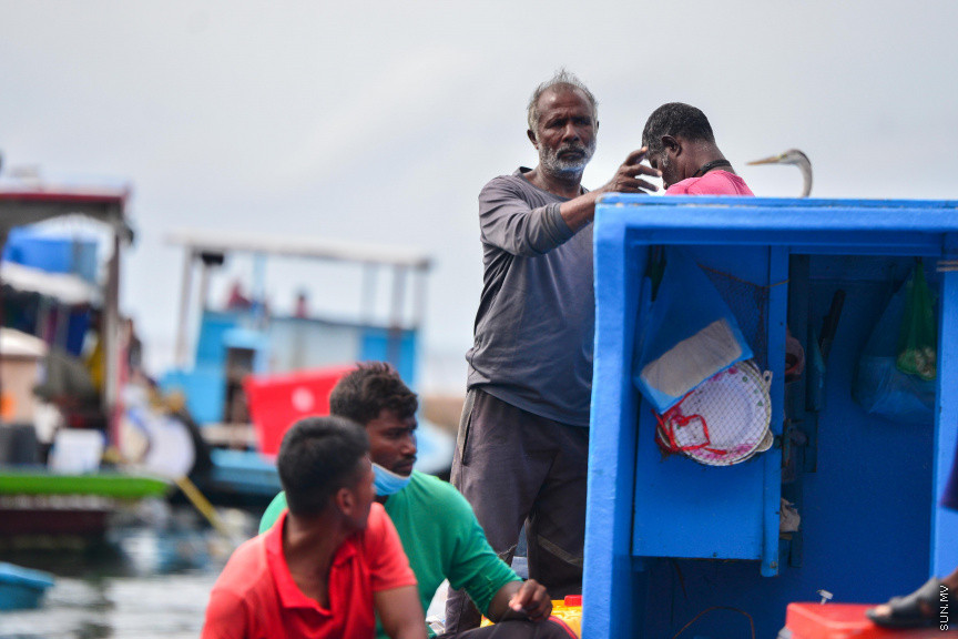އޮގަސްޓް 9، 2020: މާލޭ ފަޅުތެރޭގައި އަޅާފަރި އޮތް މަސްދޯންޏެއްގައި ބިދޭސީންތަކެއް: މަސްދޯނިތަކަށް ބިދޭސީން ނަގަން ފެށީ ދޯނި ބެލެހެއްޓުމުގެ ނަމުގައެވެ. ފެހި ކަހައި، ދިދަ ހިއްކައި، ކައްކައި ހެދުމަށެވެ. ނަމަވެސް މިހާރު މަސް ކަނޑުތަކަށް ނުކުމެ، ދޮށި އަޅަނީ ވެސް އެ ބިދޭސީންނެވެ. އެއީ ދިވެހިން ރުހިގެން ކުރާ ކަމެކެވެ. މާލޭ މަސް މަރުކޭޓް ސަރަހައްދުގައި އަޅާފައިވާ އޮޑިފަހަރުގައި ތިބެނީ ވެސް އެ މީހުންނެވެ. ދިވެހި ދޯނިތަކުގައި ރަސްކަން ކުރަނީ އެ މީހުންނެވެ. -- ސަން ފޮޓޯ/ ފަޔާޒު މޫސާ