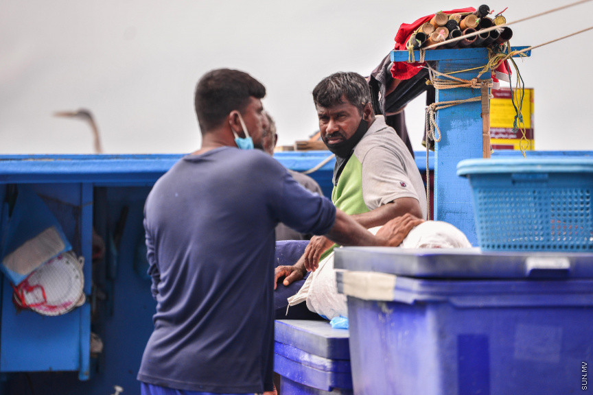 އޮގަސްޓް 9، 2020: މާލޭ ފަޅުތެރޭގައި އަޅާފަރި އޮތް މަސްދޯންޏެއްގައި ބިދޭސީންތަކެއް: މަސްދޯނިތަކަށް ބިދޭސީން ނަގަން ފެށީ ދޯނި ބެލެހެއްޓުމުގެ ނަމުގައެވެ. ފެހި ކަހައި، ދިދަ ހިއްކައި، ކައްކައި ހެދުމަށެވެ. ނަމަވެސް މިހާރު މަސް ކަނޑުތަކަށް ނުކުމެ، ދޮށި އަޅަނީ ވެސް އެ ބިދޭސީންނެވެ. އެއީ ދިވެހިން ރުހިގެން ކުރާ ކަމެކެވެ. މާލޭ މަސް މަރުކޭޓް ސަރަހައްދުގައި އަޅާފައިވާ އޮޑިފަހަރުގައި ތިބެނީ ވެސް އެ މީހުންނެވެ. ދިވެހި ދޯނިތަކުގައި ރަސްކަން ކުރަނީ އެ މީހުންނެވެ. -- ސަން ފޮޓޯ/ ފަޔާޒު މޫސާ
