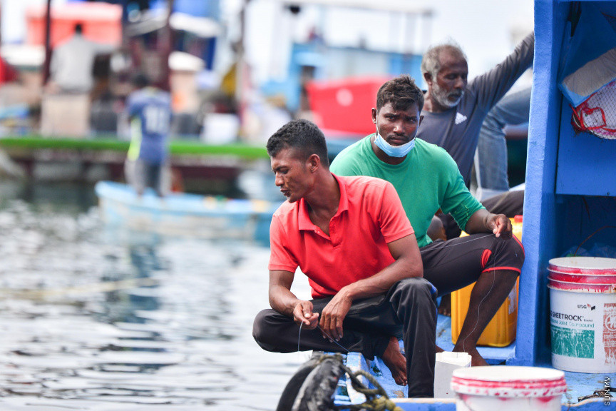 އޮގަސްޓް 9، 2020: މާލޭ ފަޅުތެރޭގައި އަޅާފަރި އޮތް މަސްދޯންޏެއްގައި ބިދޭސީންތަކެއް: މަސްދޯނިތަކަށް ބިދޭސީން ނަގަން ފެށީ ދޯނި ބެލެހެއްޓުމުގެ ނަމުގައެވެ. ފެހި ކަހައި، ދިދަ ހިއްކައި، ކައްކައި ހެދުމަށެވެ. ނަމަވެސް މިހާރު މަސް ކަނޑުތަކަށް ނުކުމެ، ދޮށި އަޅަނީ ވެސް އެ ބިދޭސީންނެވެ. އެއީ ދިވެހިން ރުހިގެން ކުރާ ކަމެކެވެ. މާލޭ މަސް މަރުކޭޓް ސަރަހައްދުގައި އަޅާފައިވާ އޮޑިފަހަރުގައި ތިބެނީ ވެސް އެ މީހުންނެވެ. ދިވެހި ދޯނިތަކުގައި ރަސްކަން ކުރަނީ އެ މީހުންނެވެ. -- ސަން ފޮޓޯ/ ފަޔާޒު މޫސާ