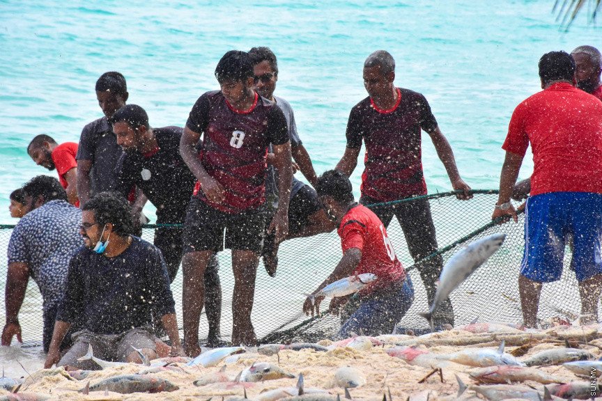 ހުޅަނގު މޫސުމާއެކު ބުރުނީގެ ގޮނޑުދޮށަށް ގިނަ އަދަދެއްގެ ރާގޮނޑި ތިލަވުން: ކޮންމެ އަހަރަކުހެން ހުޅަނގު މޫސުމާއެކު އެރަށަށް ވެރިވެގަންނަނީ ރާގޮނޑީގެ "މަސްވެރިކަމުގެ އީދެކޭ" ބުނުމަކީ ދޮގަކަށް ނުވާނެއެވެ. ފޯރިއާ މަޖަލުގައި އެންމެންވެސް ޝާމިލުވެގެންނަނީ މަސް ހިފާށެވެ. -- ފޮޓޯ/ ބުރުނި ފޭސްބުކް ޕޭޖް