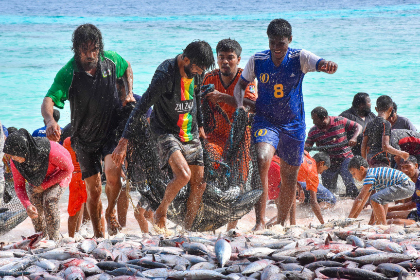 ހުޅަނގު މޫސުމާއެކު ބުރުނީގެ ގޮނޑުދޮށަށް ގިނަ އަދަދެއްގެ ރާގޮނޑި ތިލަވުން: ކޮންމެ އަހަރަކުހެން ހުޅަނގު މޫސުމާއެކު އެރަށަށް ވެރިވެގަންނަނީ ރާގޮނޑީގެ "މަސްވެރިކަމުގެ އީދެކޭ" ބުނުމަކީ ދޮގަކަށް ނުވާނެއެވެ. ފޯރިއާ މަޖަލުގައި އެންމެންވެސް ޝާމިލުވެގެންނަނީ މަސް ހިފާށެވެ. -- ފޮޓޯ/ ބުރުނި ފޭސްބުކް ޕޭޖް