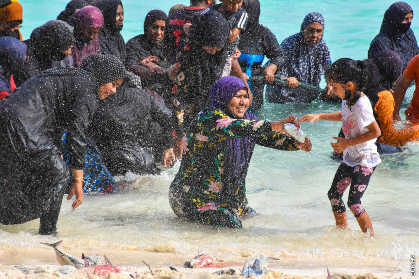 ހުޅަނގު މޫސުމާއެކު ބުރުނީގެ ގޮނޑުދޮށަށް ގިނަ އަދަދެއްގެ ރާގޮނޑި ތިލަވުން: ކޮންމެ އަހަރަކުހެން ހުޅަނގު މޫސުމާއެކު އެރަށަށް ވެރިވެގަންނަނީ ރާގޮނޑީގެ "މަސްވެރިކަމުގެ އީދެކޭ" ބުނުމަކީ ދޮގަކަށް ނުވާނެއެވެ. ފޯރިއާ މަޖަލުގައި އެންމެންވެސް ޝާމިލުވެގެންނަނީ މަސް ހިފާށެވެ. -- ފޮޓޯ/ ބުރުނި ފޭސްބުކް ޕޭޖް
