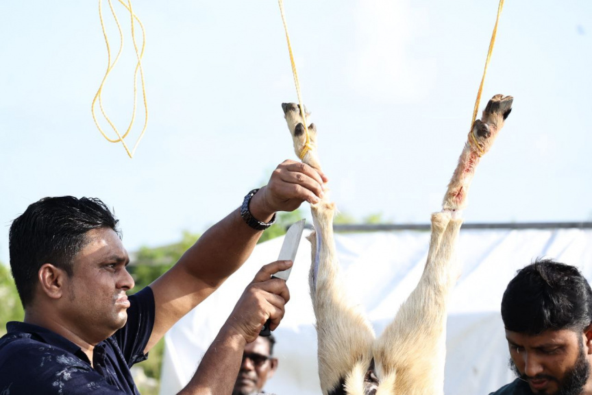 ޢީދު ނަމާދަށް ފަހު ހުޅުމާލޭގައި އުޟްހިޔާ ކަތިލުން -- ސަން ފޮޓޯ/ މާނިއު މުހައްމަދު 