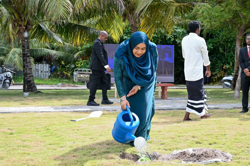 އުތީމުގައި ބޮޑުތަކުރުފާނުގެ ހަނދާނުގައި ހައިވަކަރު ގަހެއް އިންދެވުން -- ފޮޓޯ/ ރައީސް އޮފީސް